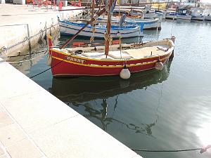 2024 11 02 EN FLANANT SUR SANARY (84)
